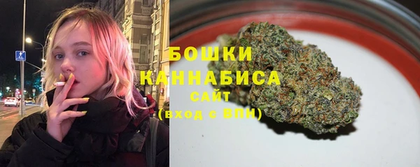 метадон Няндома