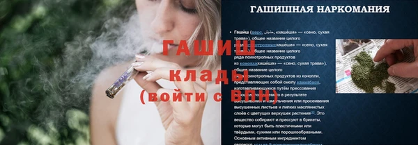 метадон Няндома